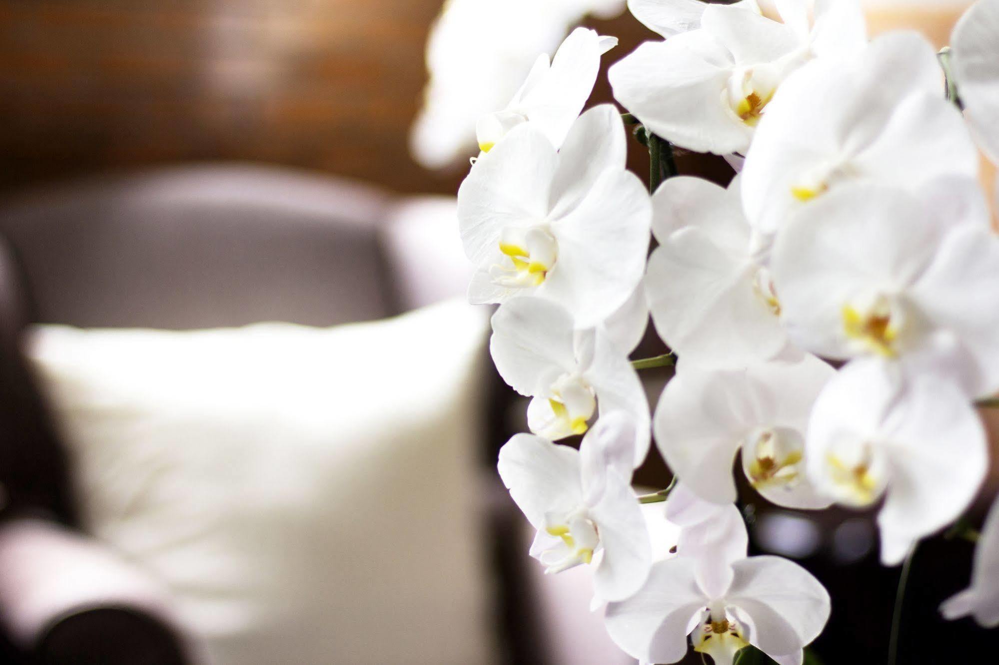 Oneday Hostel Sukhumvit 26 Bangkok Dış mekan fotoğraf